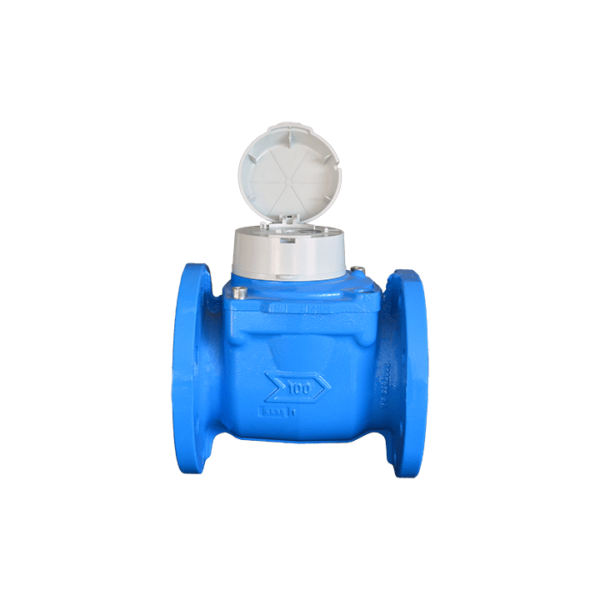 CONTADOR WOLTMAN ITRON IRRIFONT - Imagen 2