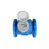 WOLTMAN ITRON IRRIFONT COUNTER (EN) - Imagen 3