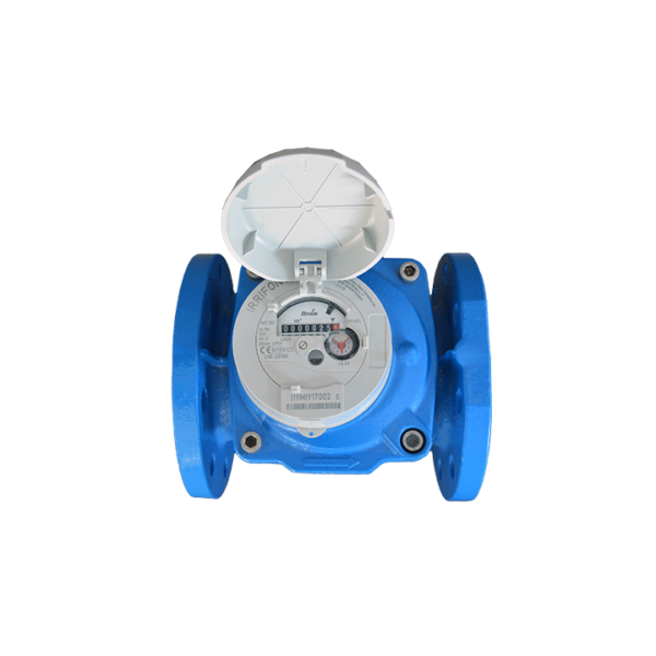 CONTADOR WOLTMAN ITRON IRRIFONT - Imagen 3